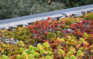 the cost of Chevening green roof installation